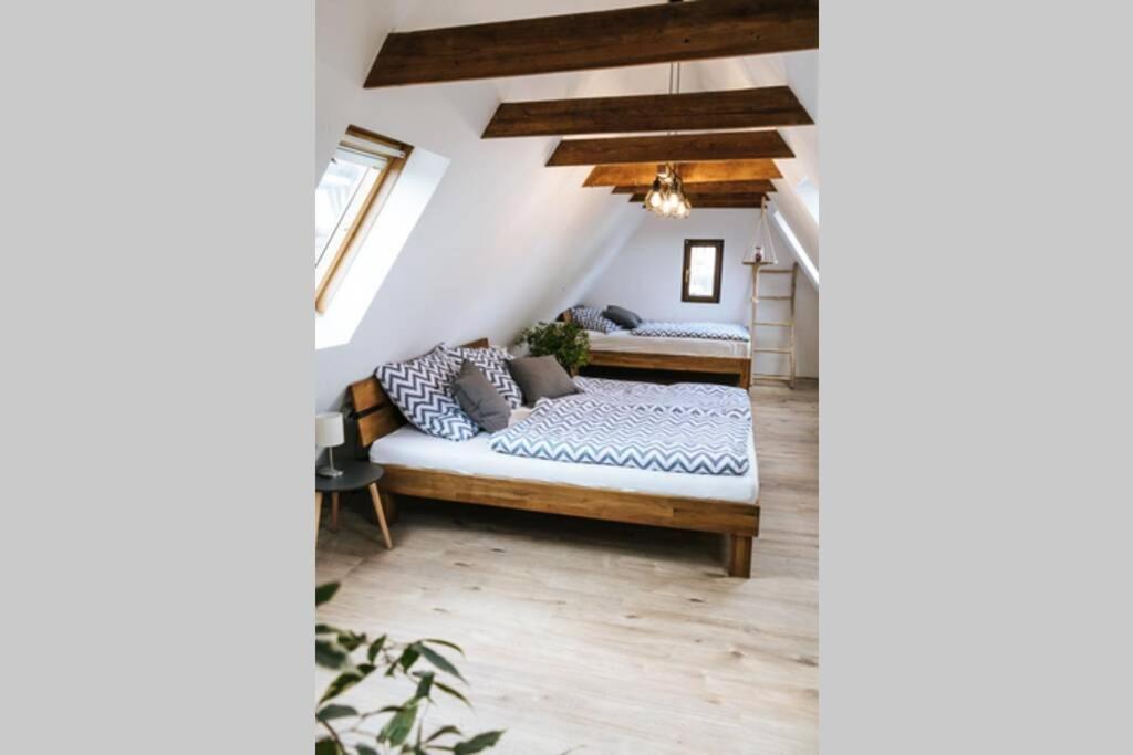 The Cozy Studio Apartment Lauf Lauf an der Pegnitz Eksteriør billede