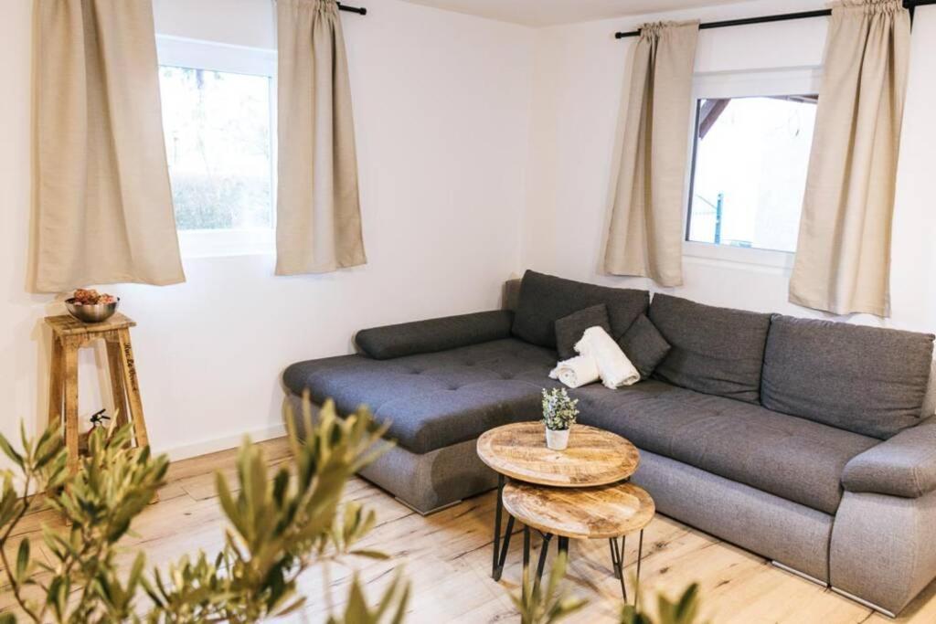 The Cozy Studio Apartment Lauf Lauf an der Pegnitz Eksteriør billede